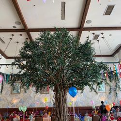 リストランテ ベニーレ ベニーレの写真30枚目