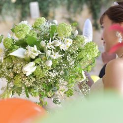 リストランテ ベニーレ ベニーレの写真23枚目