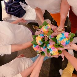 リストランテ ベニーレ ベニーレの写真24枚目