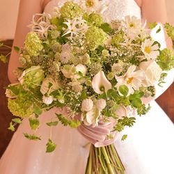 リストランテ ベニーレ ベニーレの写真11枚目