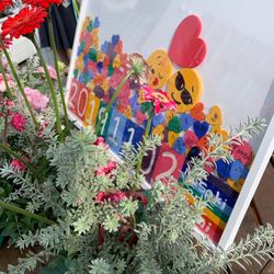 リストランテ ベニーレ ベニーレの写真4枚目