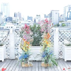 リストランテ ベニーレ ベニーレの写真21枚目