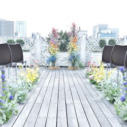 リストランテ ベニーレ ベニーレの写真4枚目