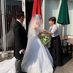 リストランテ ベニーレ ベニーレの写真12枚目