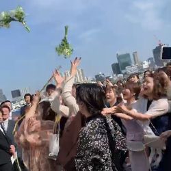 リストランテ ベニーレ ベニーレの写真8枚目