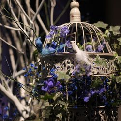 ザ・リッツ・カールトン東京の写真25枚目