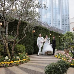 アニヴェルセル 豊洲の写真35枚目