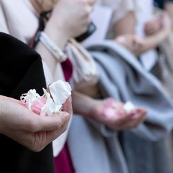 伊勢山ヒルズの写真29枚目