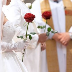 伊勢山ヒルズの写真26枚目