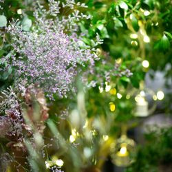 ザ・ガーデンオリエンタル大阪の写真20枚目