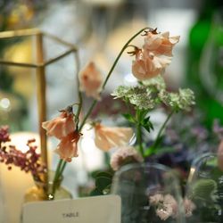 ザ・ガーデンオリエンタル大阪の写真13枚目