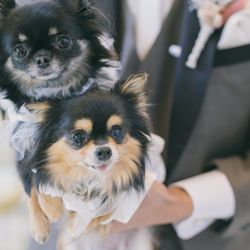 クアンティックの写真21枚目