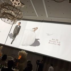 クアンティックの写真29枚目