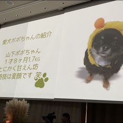 クアンティックの写真26枚目