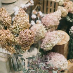 クアンティックの写真6枚目