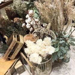 クアンティックの写真15枚目