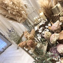 クアンティックの写真27枚目