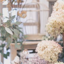 クアンティックの写真11枚目