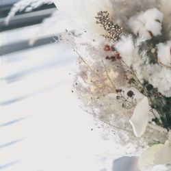 クアンティックの写真20枚目