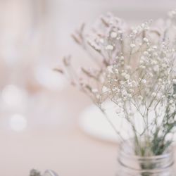 クアンティックの写真27枚目