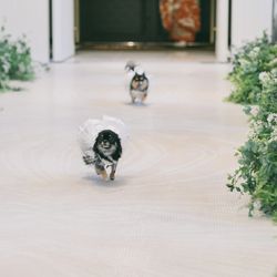 クアンティックの写真3枚目