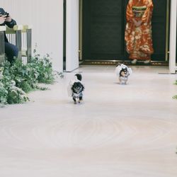 クアンティックの写真36枚目