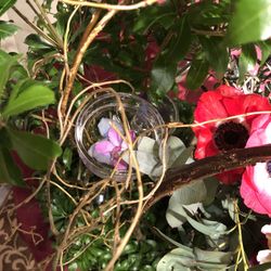 帝国ホテル 東京の写真34枚目