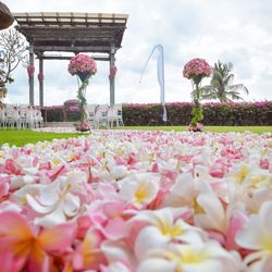 ラシック アンジュールの写真11枚目