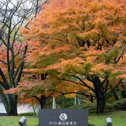 ホテル雅叙園東京の写真14枚目