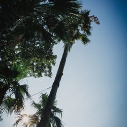 ジ・オリエンタルテラス ハイダウェイの写真20枚目