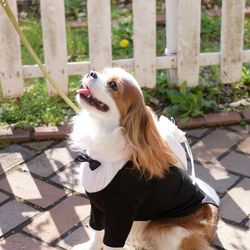 山手十番館ウエディング ハウス&ガーデンの写真9枚目