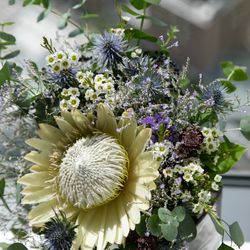 アンダーズ東京の写真14枚目