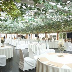 ぶどうの樹ウェディングの写真9枚目