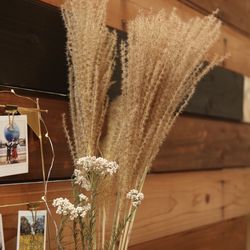 ぶどうの樹ウェディングの写真18枚目