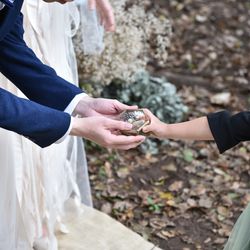 ぶどうの樹ウェディングの写真23枚目