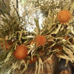 ぶどうの樹ウェディングの写真2枚目