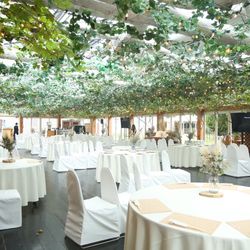 ぶどうの樹ウェディングの写真6枚目