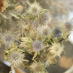 ぶどうの樹ウェディングの写真12枚目