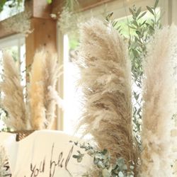 ぶどうの樹ウェディングの写真2枚目