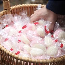 ぶどうの樹ウェディングの写真6枚目