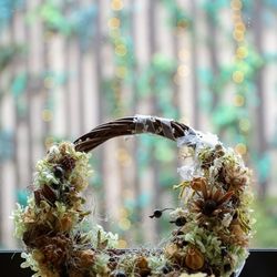 ラソールガーデン名古屋の写真23枚目