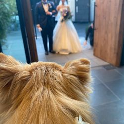 TRUNK HOTELの写真28枚目