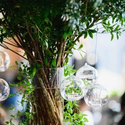 パレスホテル東京の写真18枚目