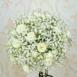 アニヴェルセル 豊洲の写真10枚目