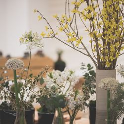 エネコ東京の写真7枚目