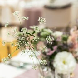 クルヴェット名古屋の写真2枚目