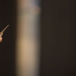 The South Harbor Resortの写真6枚目