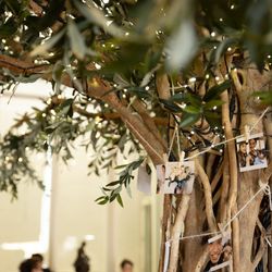 リストランテ ベニーレ ベニーレの写真24枚目