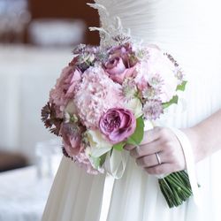 リストランテ ベニーレ ベニーレの写真22枚目