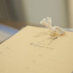 茅ヶ崎迎賓館の写真1枚目